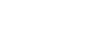 Bci_Logotype