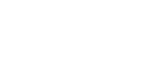 Larrain-Vial